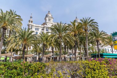 İlkbahar günü Alicante 'nin merkezindeki bir meydanda palmiye ağaçlarının arasından bir manzara