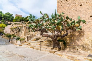 Alicante 'nin yukarısındaki Aziz Ferran kalesinin girişine bir bahar günü bir manzara.