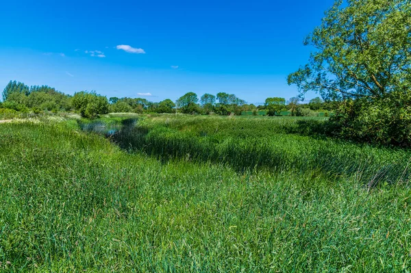 Kilátás Folyóra Nagy Ouse Kóborol Keresztül Ouse Valley Park Wolverton — Stock Fotó