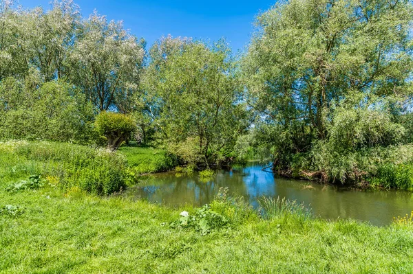 Kilátás Nagy Ouse Folyóra Ouse Valley Parkban Wolvertonban Angliában Nyáron — Stock Fotó