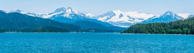 Yazın Juneau, Alaska 'nın dışındaki Auke Koyu' nda manzaralı bir manzara.