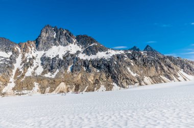 Yazın Skagway, Alaska yakınlarındaki Denver buzulunda kuzeye bakan bir manzara.