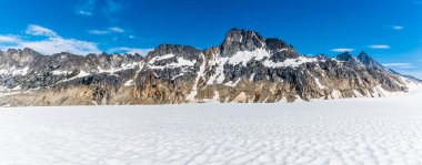 Yazın Skagway, Alaska yakınlarındaki Denver buzulunda kayaya bakan bir güney manzarası.