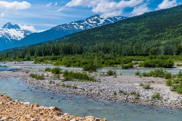 View Skagway River White Pass Train Alaska Summertime — Stockfoto
