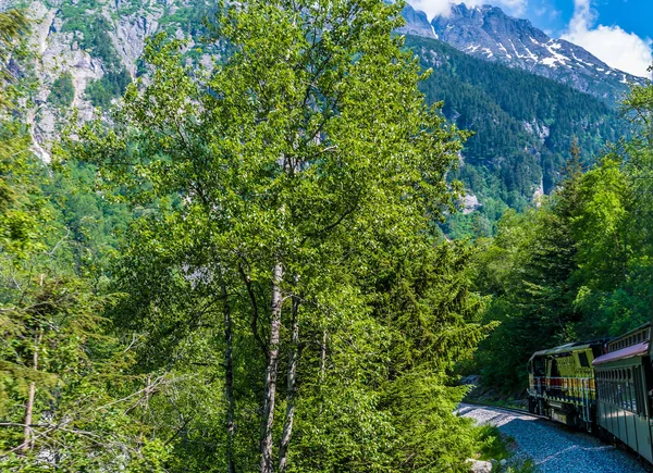 View Wooded Section White Pass Yukon Railway Skagway Alaska Summertime — ストック写真