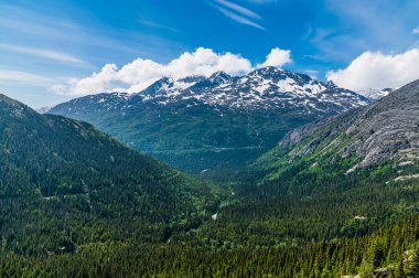 A view across a mountain valley from a train on the White Pass and Yukon railway near Skagway, Alaska in summertime