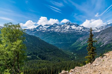 Yazın Skagway, Alaska yakınlarındaki Beyaz Geçit ve Yukon tren yolundan bir dağ vadisine doğru bir manzara.