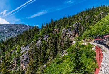 A view approaching a bridge from a train on the White Pass and Yukon railway near Skagway, Alaska in summertime