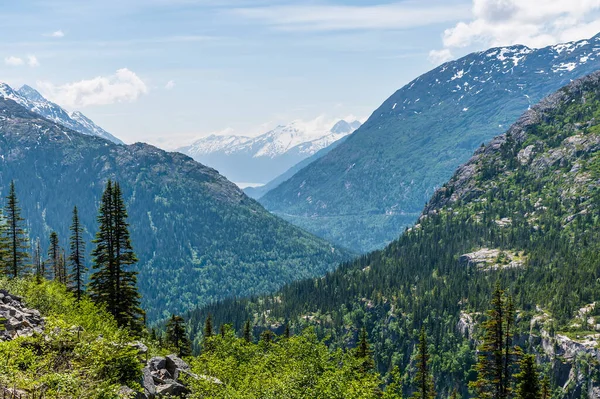 View Train White Pass Yukon Railway Skagway Alaska Summertime — Stockfoto