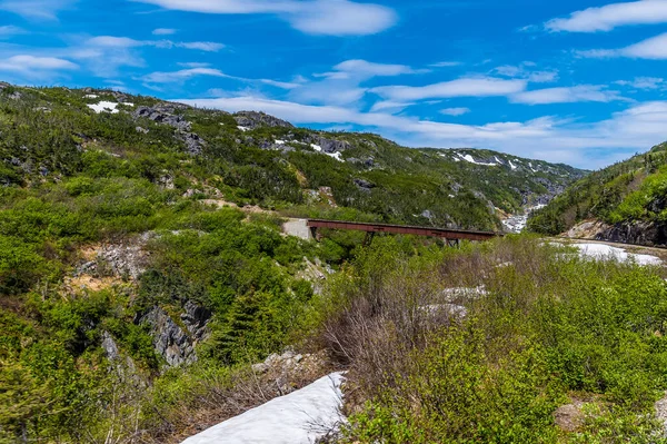 View Bridge Ravine Train White Pass Yukon Railway Skagway Alaska — Stock Photo, Image