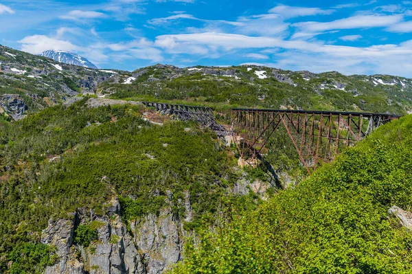 View Wrecked Bridge Ravine Train White Pass Yukon Railway Skagway — Stock Fotó
