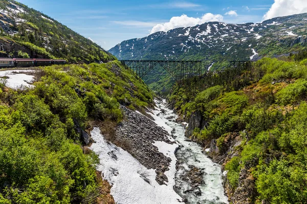 View Ravine Train White Pass Yukon Railway Skagway Alaska Summertime — Stock Fotó