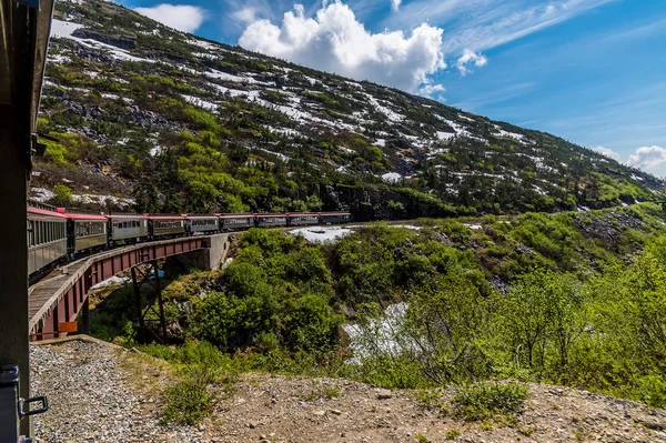 여름철에 알래스카의 근처에 백로와 철도를 가로지르는 다리를 가로지르는 기차를 내려다보는 — 스톡 사진