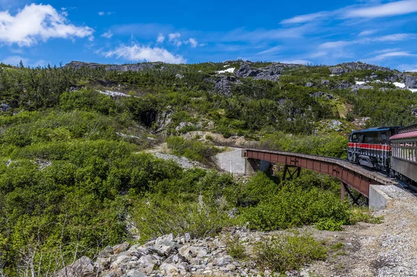 View Bridge Ravine Train White Pass Yukon Railway Skagway Alaska Stockbild