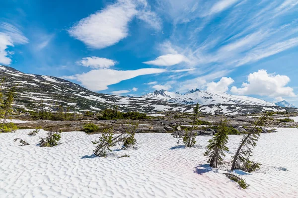Snow Covered Landscape Highest Section White Pass Yukon Railway Skagway — Stockfoto