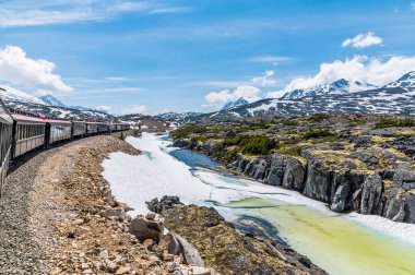 Yazın Skagway, Alaska yakınlarındaki White Pass ve Yukon demiryollarının kar manzarasına bakan bir trenden manzara