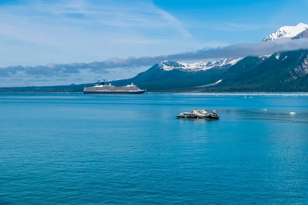 View Disenchartment Bay Icebergs Cruise Ship Alaska Summertime — Stock fotografie