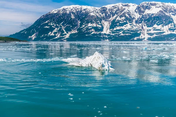 View Iceberg Close Valerie Glacier Disenchartment Bay Alaska Summertime — 图库照片