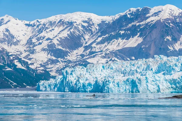 Blick Auf Die Schnauze Des Hubbard Gletschers Mit Bergkulisse Alaska — Stockfoto