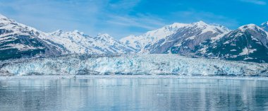 Yazın Alaska 'daki Valerie Buzulu' nun burnunun yakın görüntüsü.