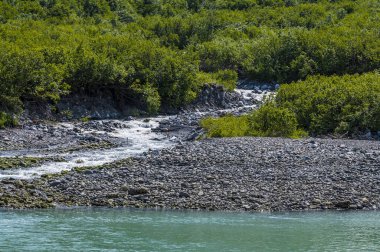 Yazın Alaska 'daki Hubbard Buzulu' na yakın Disenchartment Körfezi 'ne akan bir dereye doğru bir manzara.
