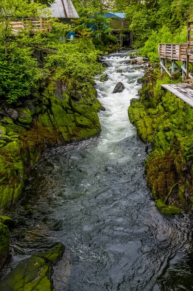 View Creek Ketchikan Alaska Summertime — Stockfoto