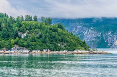 A view of a spur on the shoreline of Glacier Bay next to the Margerie Glacier, Alaska in summertime