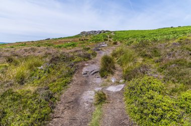 A view up the path leading to the top of the Bamford Edge escarpment in summertime