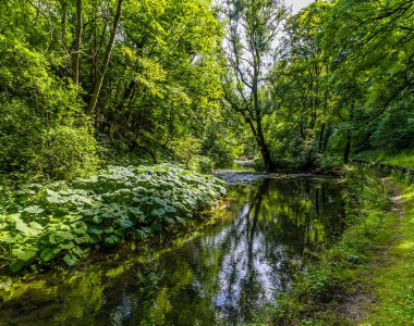 A view down the River Wye at the start of the Monsal Trail in Derbyshire, UK in summertime