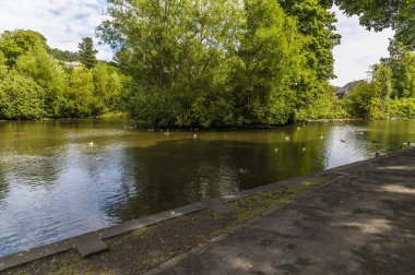 A view of the river Wye at Bakewell close to the Monsal Trail in Derbyshire, UK in summertime