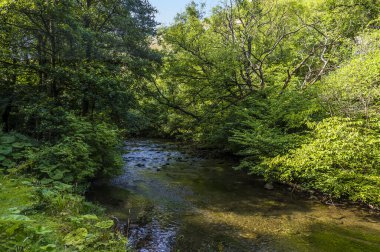 A view of a shady section of the River Wye from the Monsal Trail in Derbyshire, UK in summertime