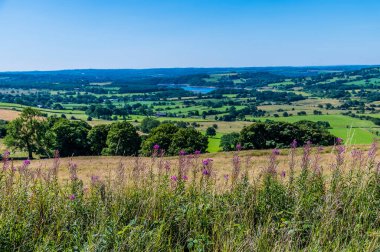 A view down from the base of the Roaches escarpment, Staffordshire, UK in summertime