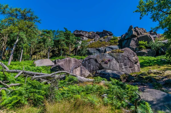 A view across boulders looking up towards the summit of the Roaches, Staffordshire, UK in summertime