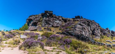 A view across the heather covered rocks of the Roaches, Staffordshire, UK in summertime