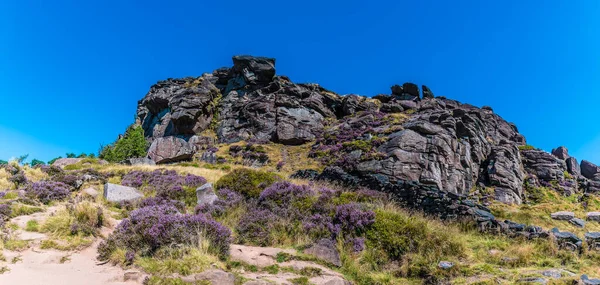 A view across the heather covered rocks of the Roaches, Staffordshire, UK in summertime