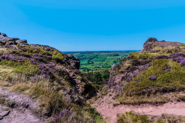 View Gully Leading Summit Roaches Escarpment Staffordshire Summertime — Stockfoto
