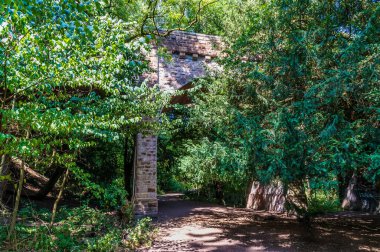 İngiltere 'nin Leicestershire kentindeki Grace Dieu Ormanı' ndaki viyadük manzarası