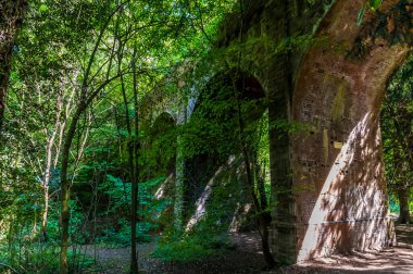 Yazın İngiltere, Leicestershire 'daki Grace Dieu Ormanı' nda viyadük manzarası