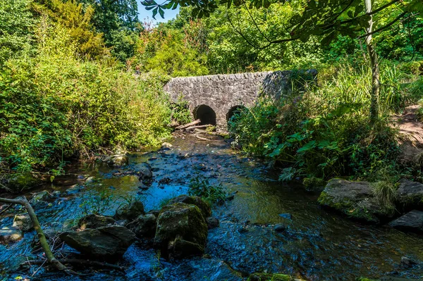 Вид Вниз Течению Каменному Мосту Грейс Фау Вуд Лейстершире Великобритания — стоковое фото