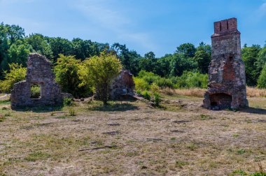 İngiltere 'nin Leicestershire kentindeki Grace Dieu Manastırı' nın harabelerinde hala bir duvar manzarası var.