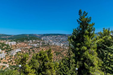 Yazın Ürdün, Ajloun Kalesi 'nin aşağısındaki ağaçların arasından bir manzara