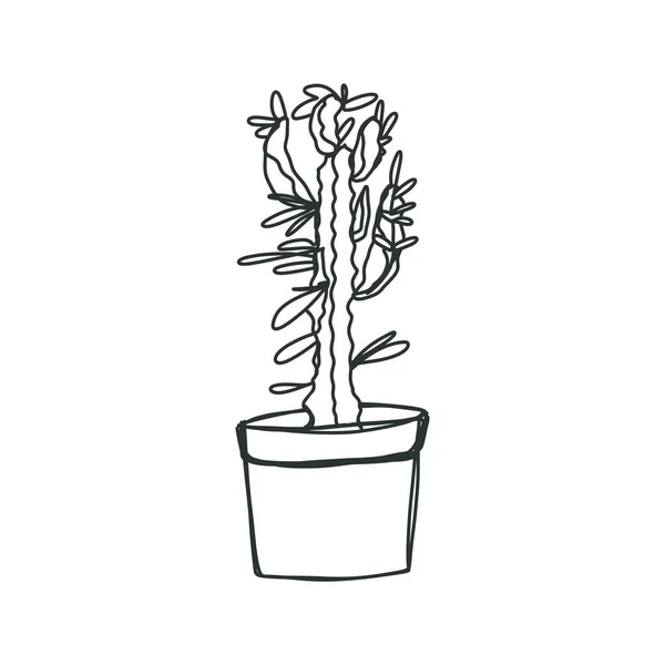 Skizze, eine Linie, Linie Art Stil dreieckige Wolfsmilchpflanze Zimmerpflanze, Topfpflanze Ikone Euphorbia, Aufkleber, Etikett. — Stockvektor