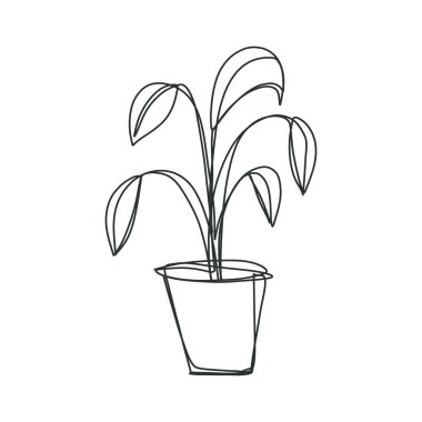 Fichus ağacı ya da aspidistra ev bitkisi bir çizgi çizimi, plastik incir bitkisi ikonu, etiket, etiket.