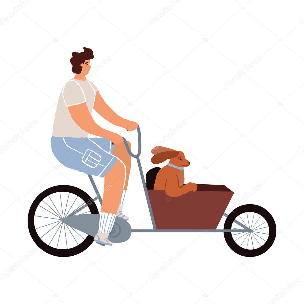 Man rides a cargo cycle or bakfiets bike, his dog sitting in the cart. Transport for outdoor family pastime, riding.