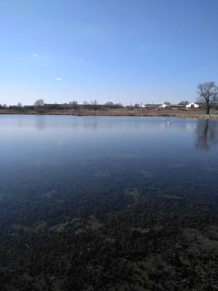 Suda buzla birlikte nehrin manzarası