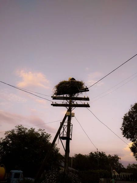 Güzel bir gece manzarası Dağlarda ağaçlar ve ağaçlar