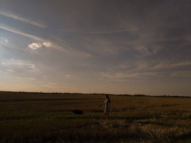 Buğday tarlası ve mavi gökyüzü olan bir manzara.