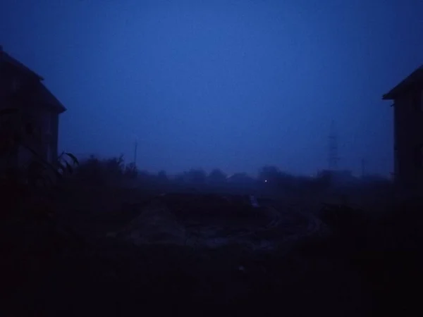 Orman şehrinin gece manzarası