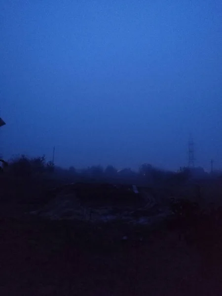 Ağacı ve tarlası olan güzel bir manzara.