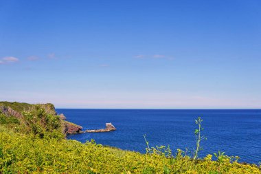 04 Haziran 2021. Brixham, İngiltere. İngiliz Riviera Devon, İngiltere 'deki Berry Head' deki uçurumdan görüntü. Mavi okyanus. Denizde kayalar. Uçurumdaki çiçekler. Sahil boyunca yürü..